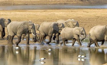 TANDALA NO KWANGALA – MALAWI AND ZAMBIA PACKAGE – 9 NIGHTS AND 10 DAYS